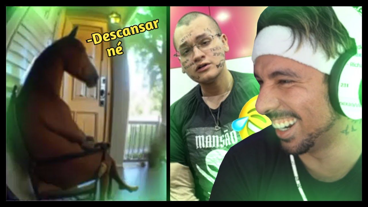 30 MINUTOS DE PIUZINHO REAGINDO AOS MELHORES MEMES DO TIK TOK TENTE NAO RIR  + VIDEOS ALEATORIOS
