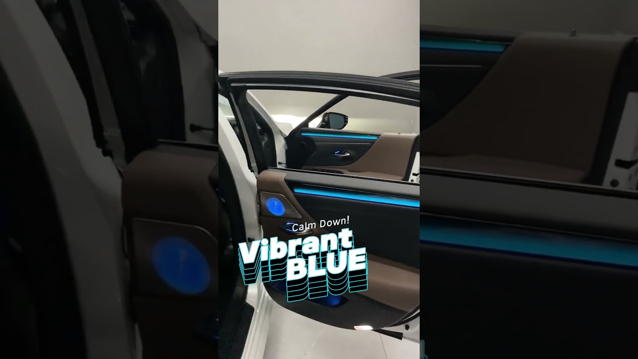 LEXUS with Customized Ambient Lighting -