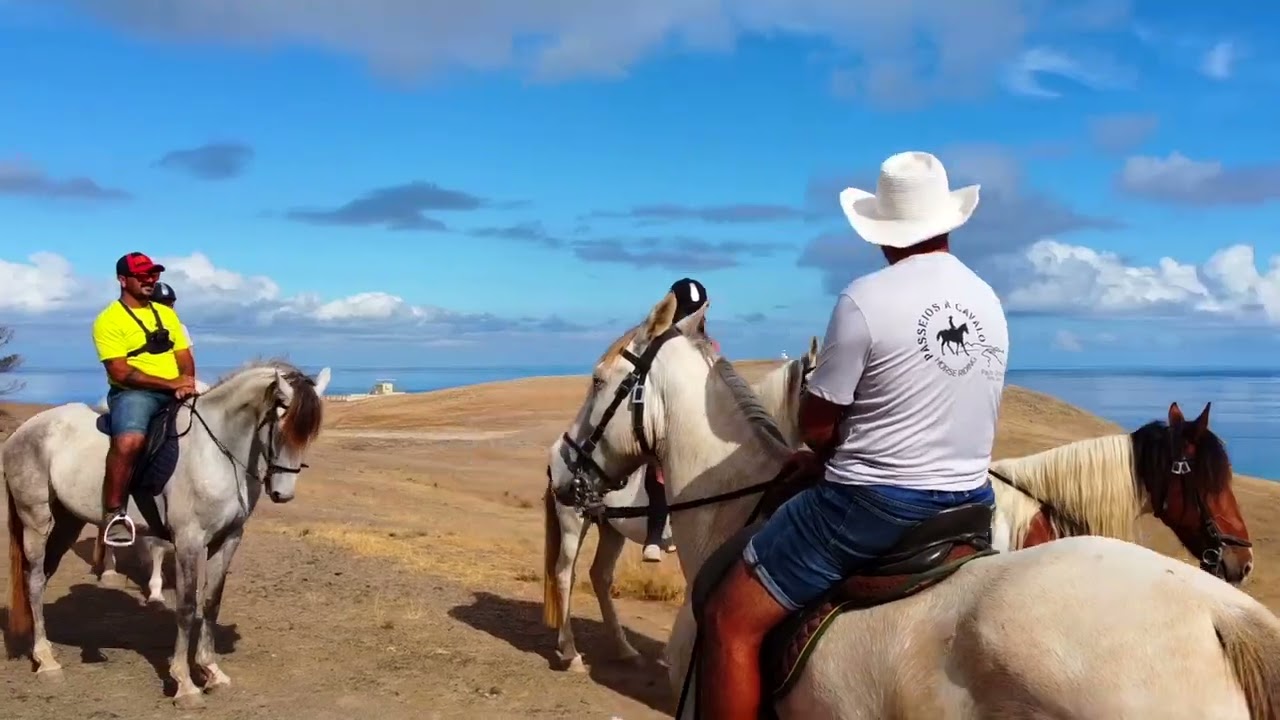 Riding Horse in Porto Santo Portugal