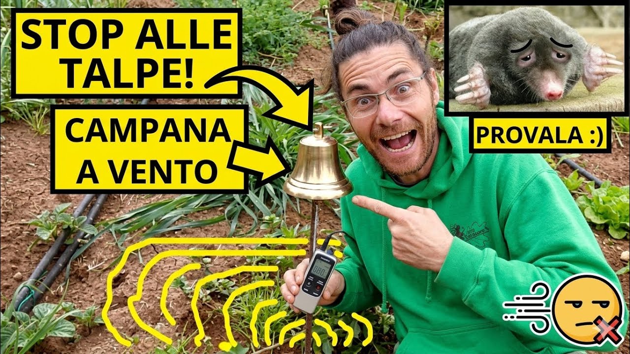 Come tenere LONTANE le TALPE dall'orto, dal giardino e dal frutteto: LA CAMPANA A VENTO | Tutorial