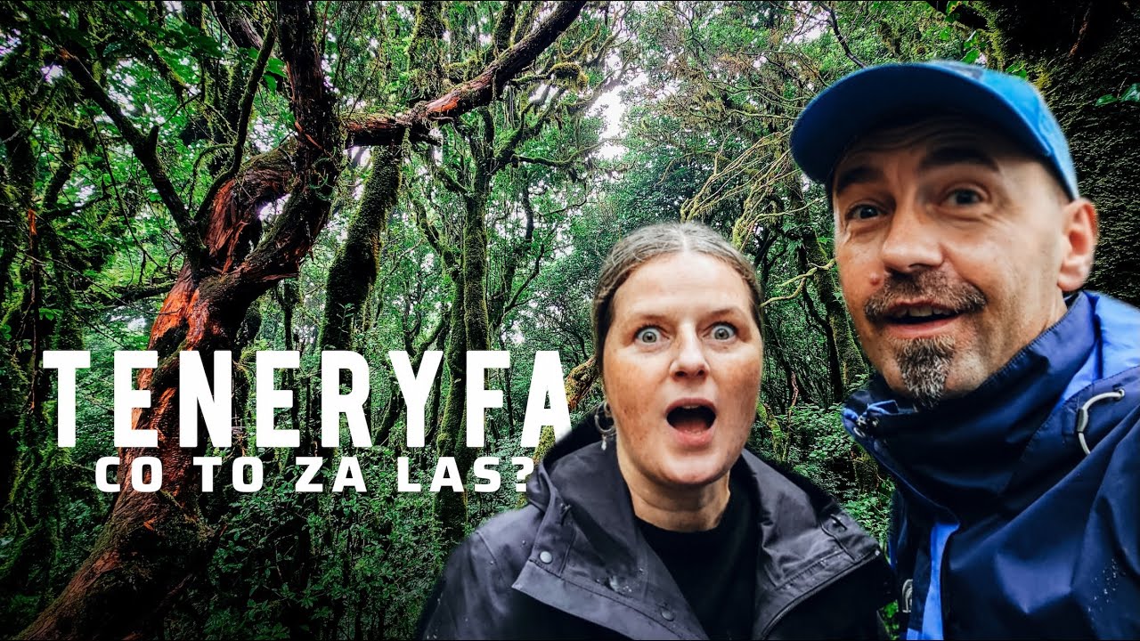 Teneryfa jakiej NIE ZNASZ! 🌴 Las laurowy Anaga i baseny Bajamar | Dailyvlog #08