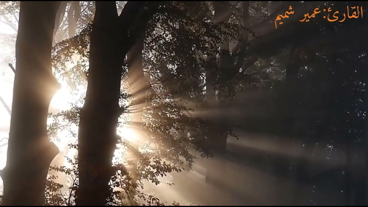 ماتيسر من سورة الشعراء بصوت الشيخ عمير شميم مع الدعاء بجودة عالية