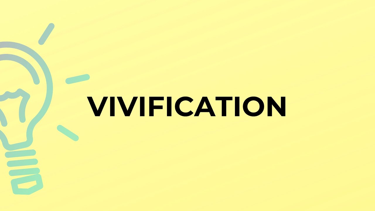 What is the meaning of the word VIVIFICATION?