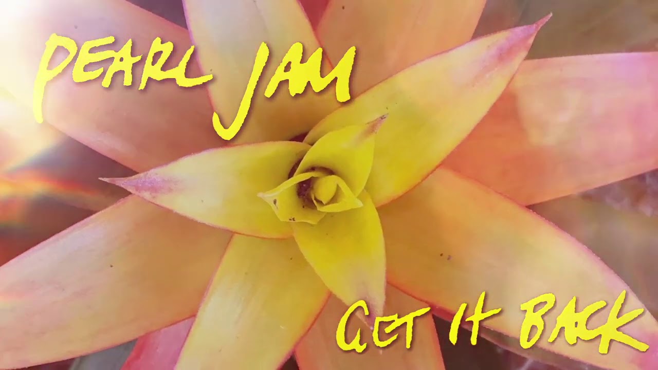 Pearl Jam - Get It Back