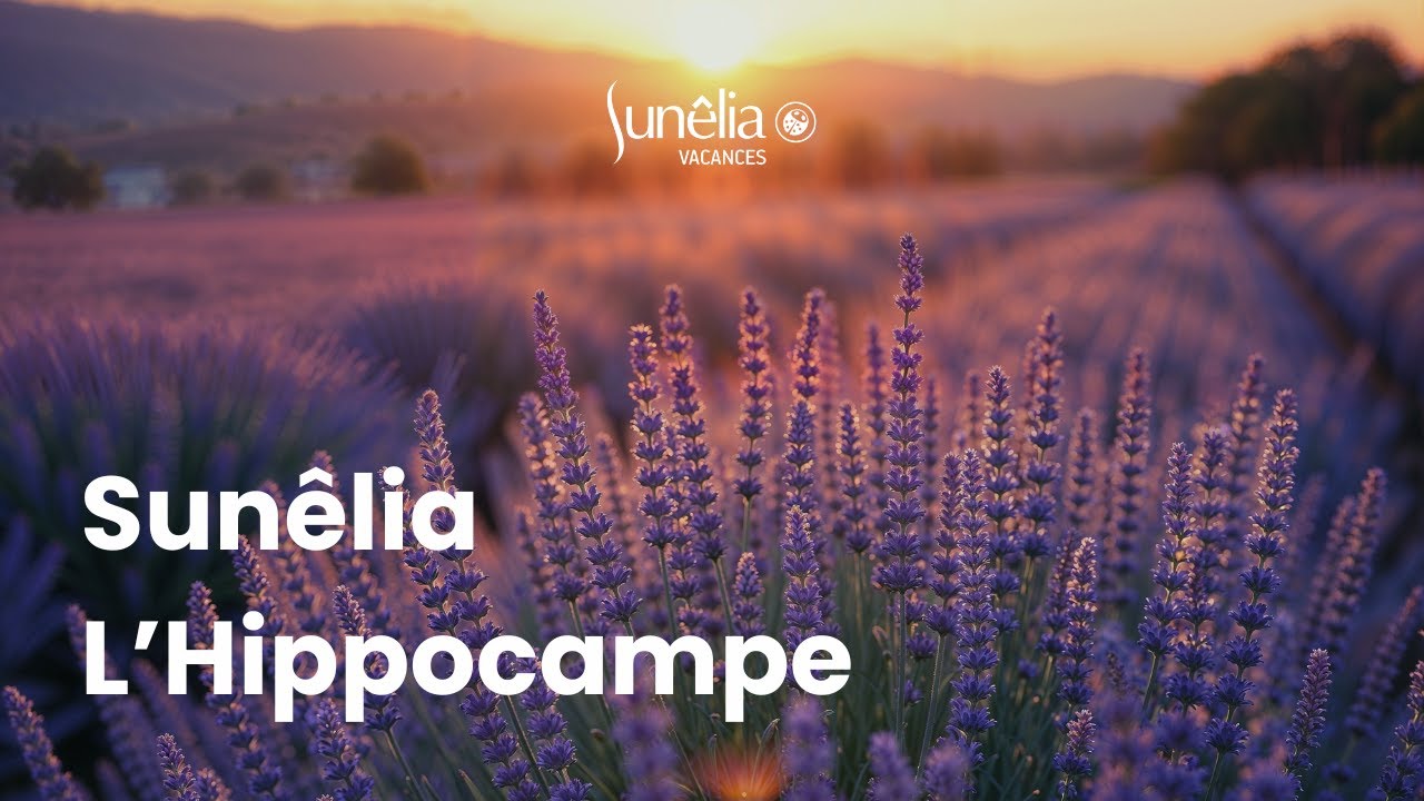 Camping Sunêlia L’Hippocampe | Volonne, Provence 5★