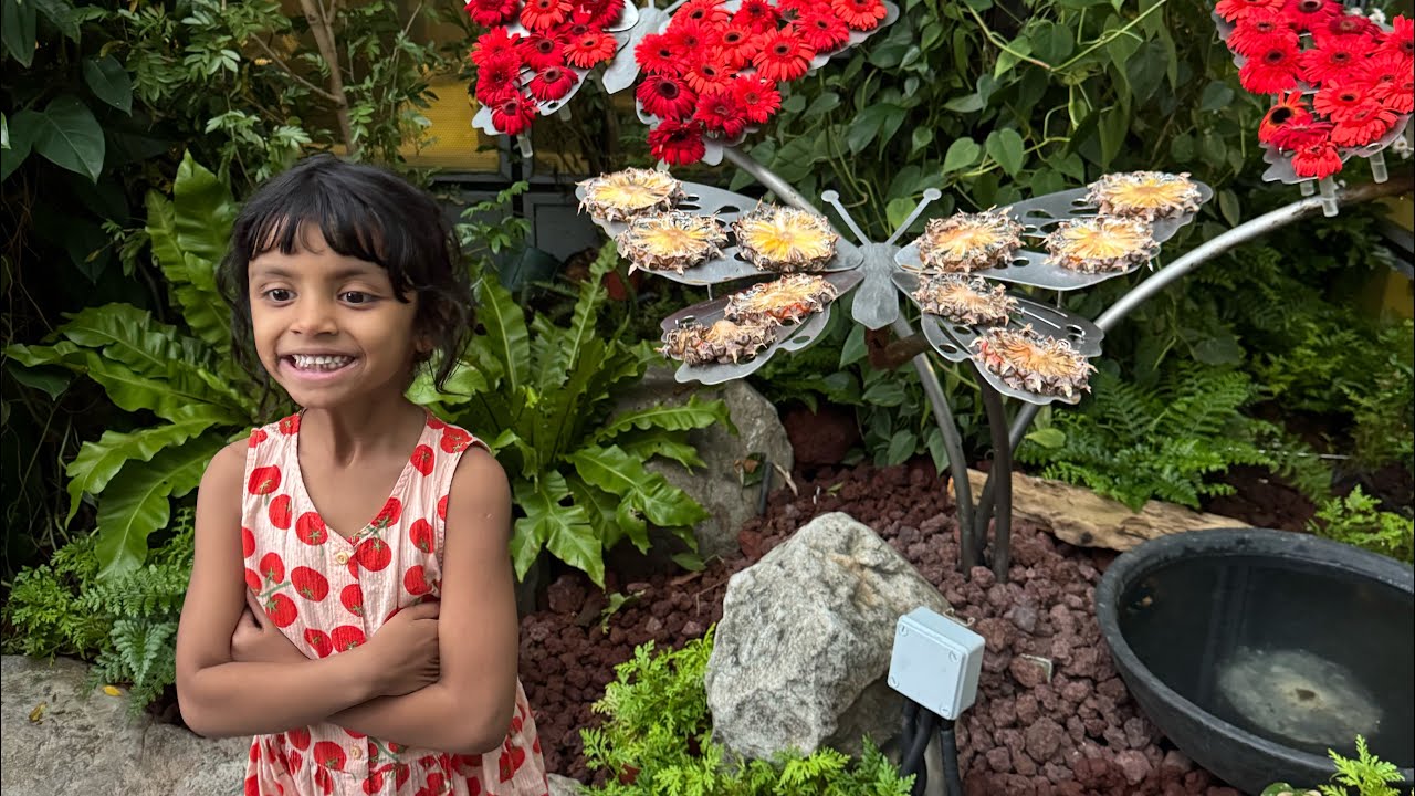 Bali trip memories 🌴| Travel Vlog✨