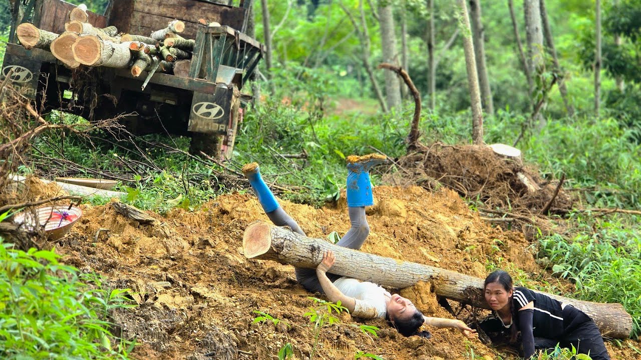Agricultural vehicle, 2 girls transporting wood and a sudden fall caused a log to fall on them#truck