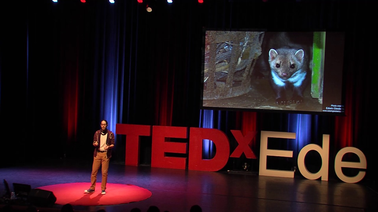 Почему вам стоит любить хищников | Тим Хофмистер | TEDxEde