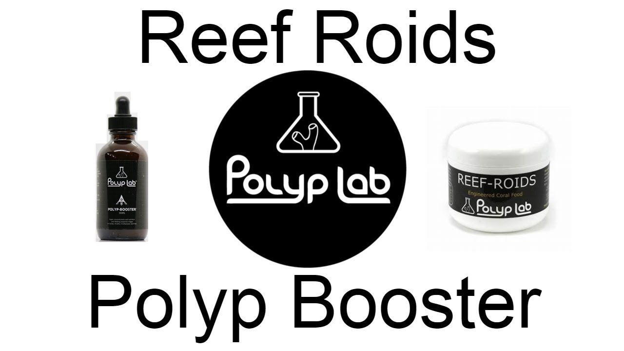 Polyp Lab Reef Roids and Polyp Booster   How I Do It