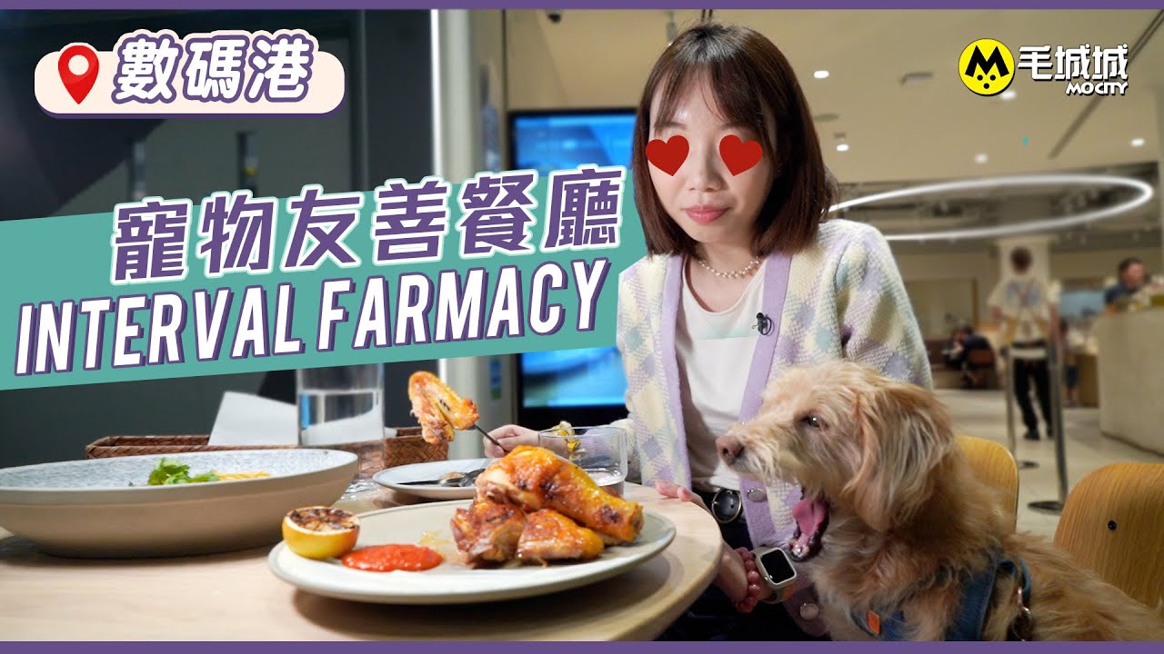 數碼港寵物友善餐廳 – Interval Farmacy