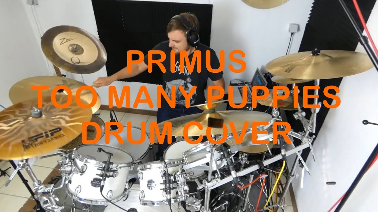 PRIMUS - TOO MANY PUPPIES DRUM COVER IMPRO