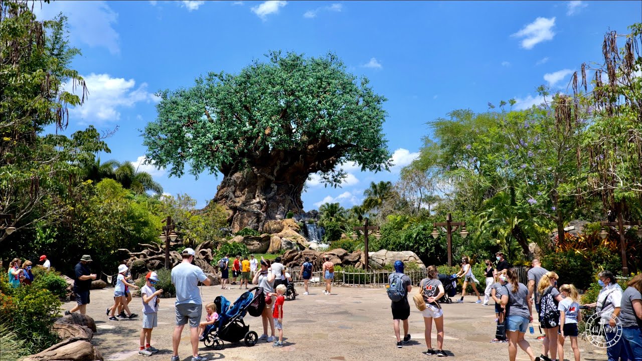 Crowds Update at Disney's Animal Kingdom May 2021 - Filmed in 4K | Walt Disney World Orlando Florida
