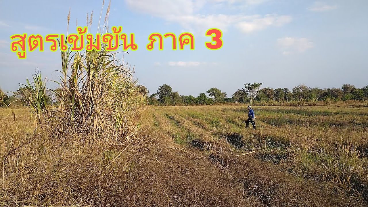 หมายใหม่เรา แต่ หมายเก่าเขา 