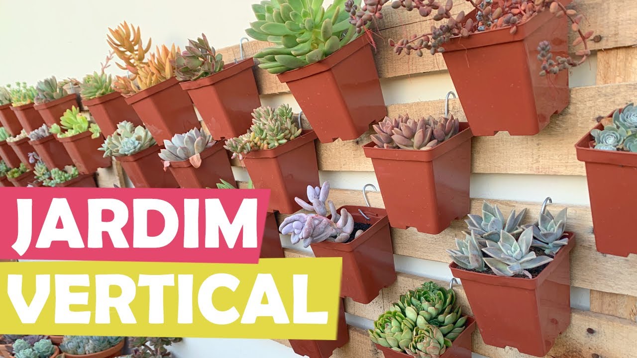 DECORE SUA CASA E ECONOMIZE ESPAÇO COM OS JARDINS VERTICAIS DE SUCULENTAS - SUCU LOVERS