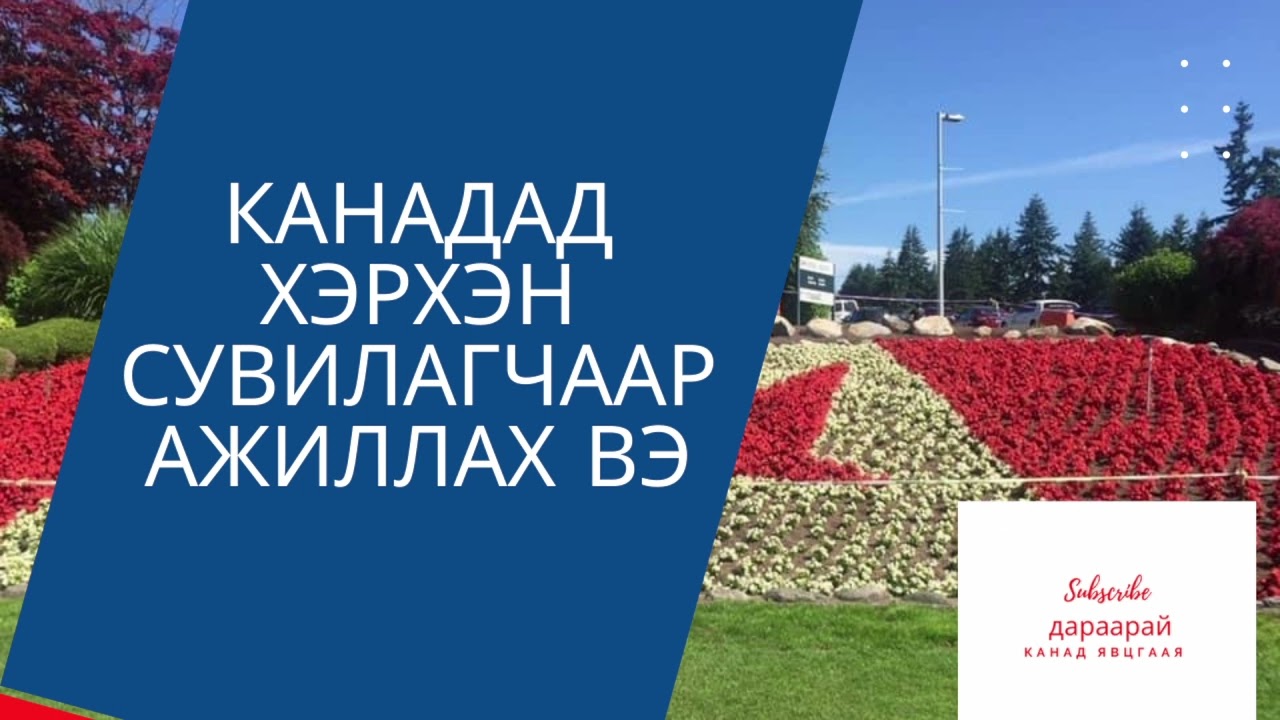 #11. Канадад хэрхэн сувилагчаар ажиллах болон цагаачлах вэ?