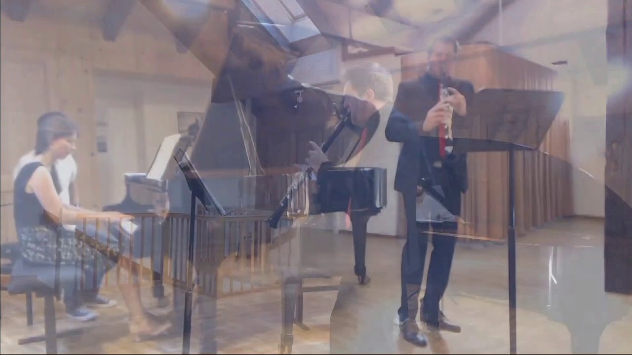 Carmen Fantaisie - Pablo de Sarasate, Nicolas Baldeyrou