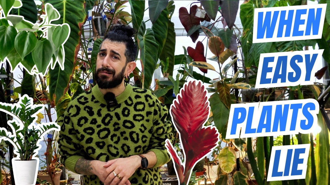 These “Easy” Houseplants Lied to Me 😭 My Plug and Pray List