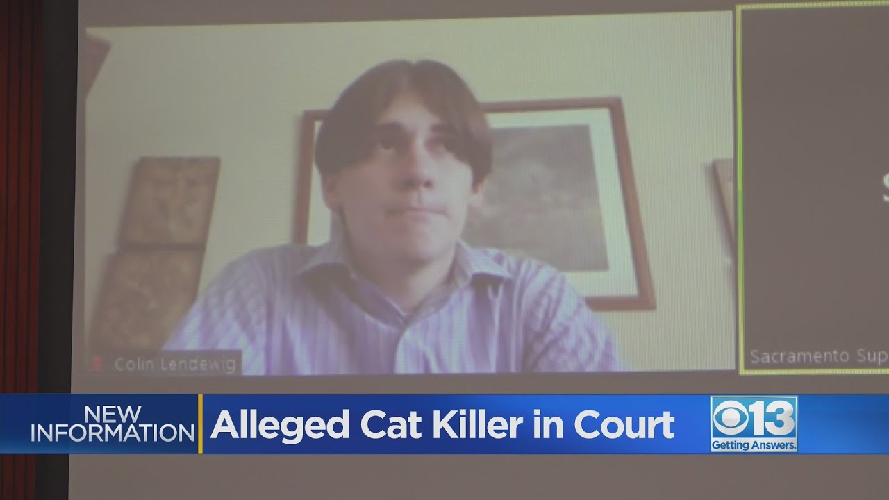 Judge orders teen accused of Orangevale cat killings to move or remove all farm animals from family