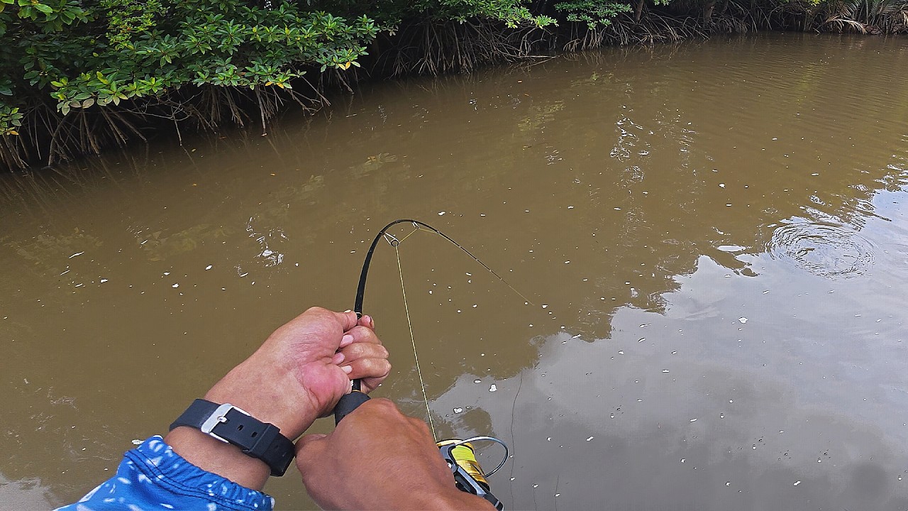 Mancing Kakap Sak Bantal