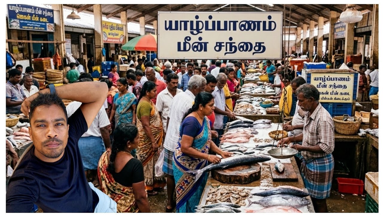சுட சுட மீன்கள் சாப்பிடணும் என்றால் யாழ்ப்பாணம் தான் | fish | fishsrilanka 