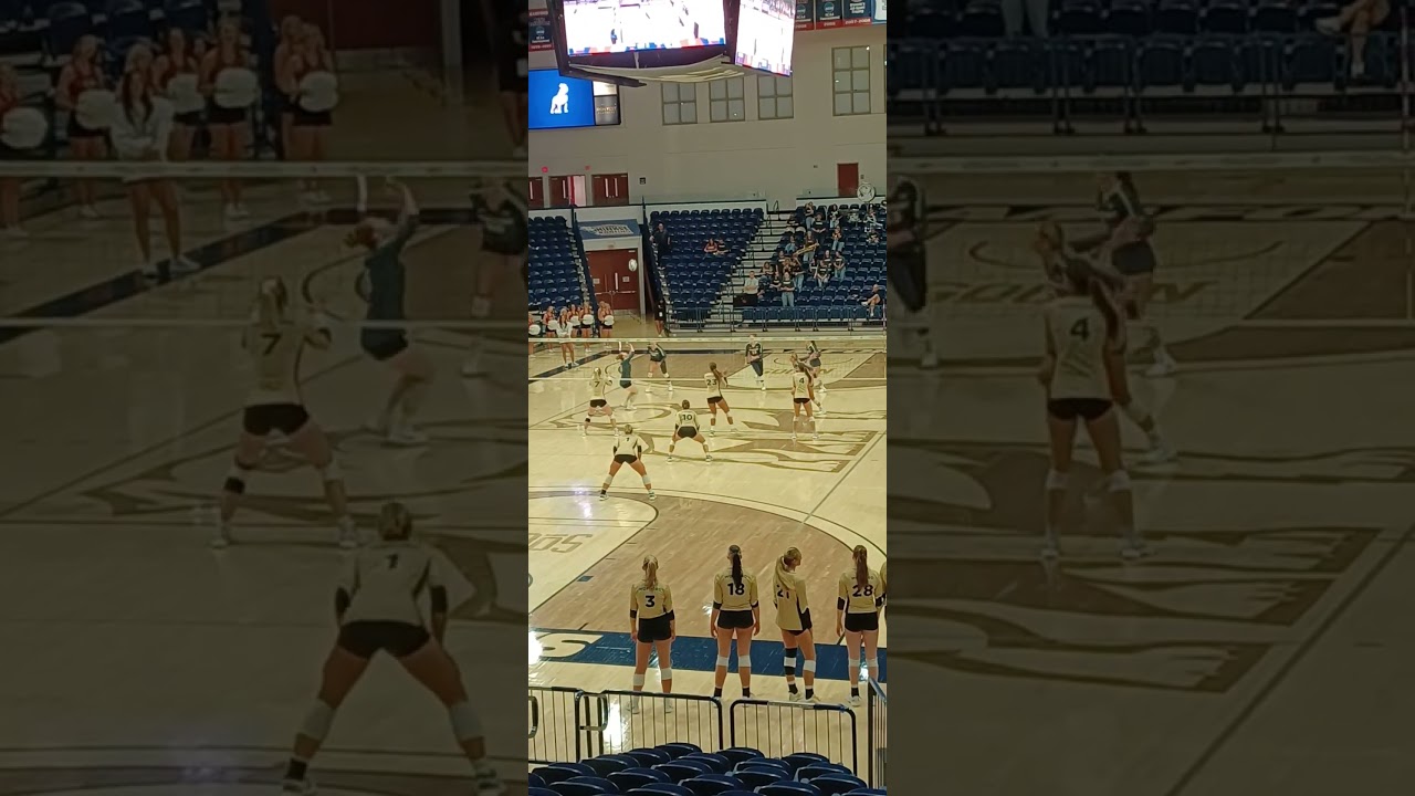Samford Bulldogs Volleyball 2024 🏐