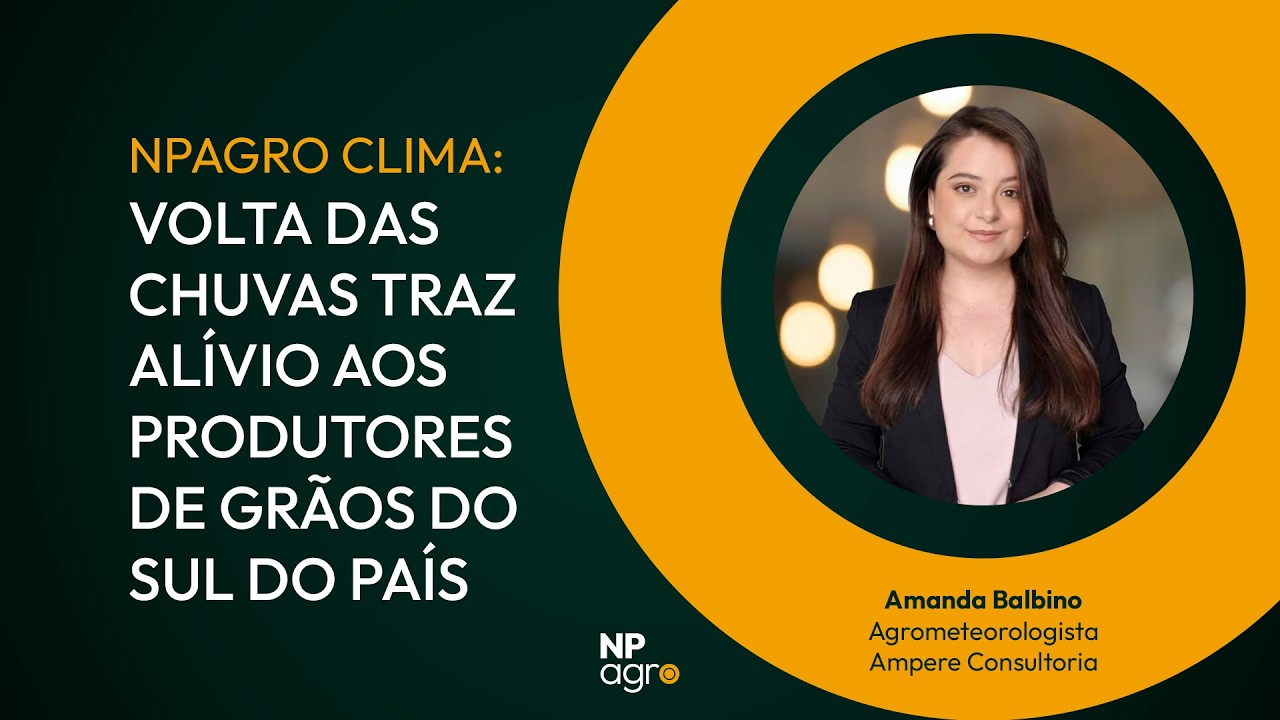 NPagro Clima: Volta das chuvas traz alívio aos produtores de grãos do Sul do país