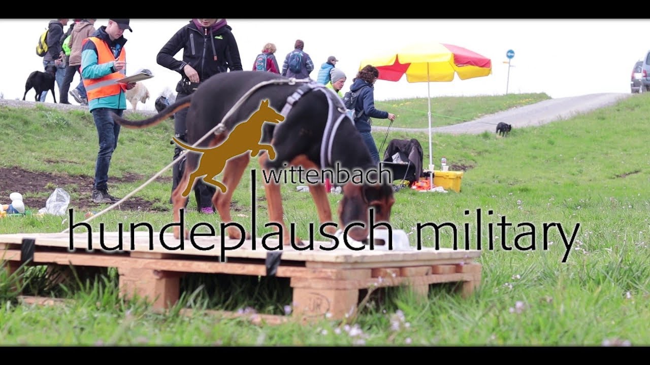 Hundeplausch Military Wittenbach FIlm 2019