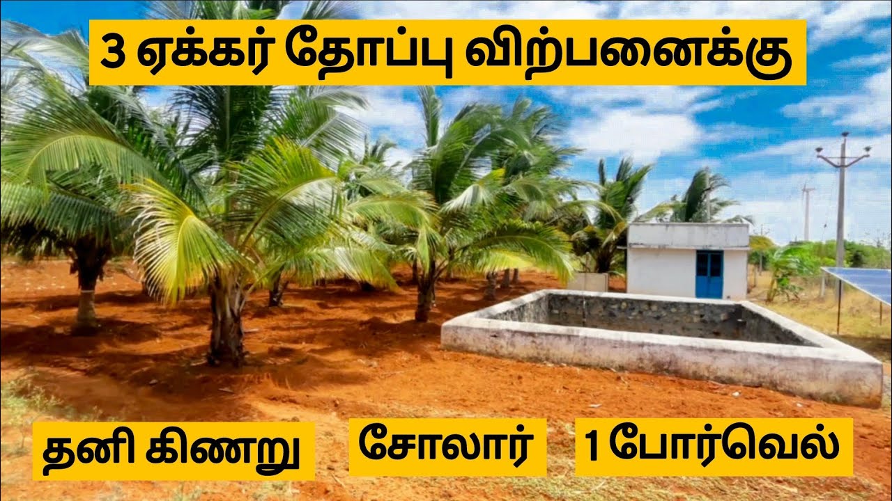 3 ஏக்கர் விற்பனைக்கு✅ தனி கிணறு | சோலார் | 1 போர்வெல்
