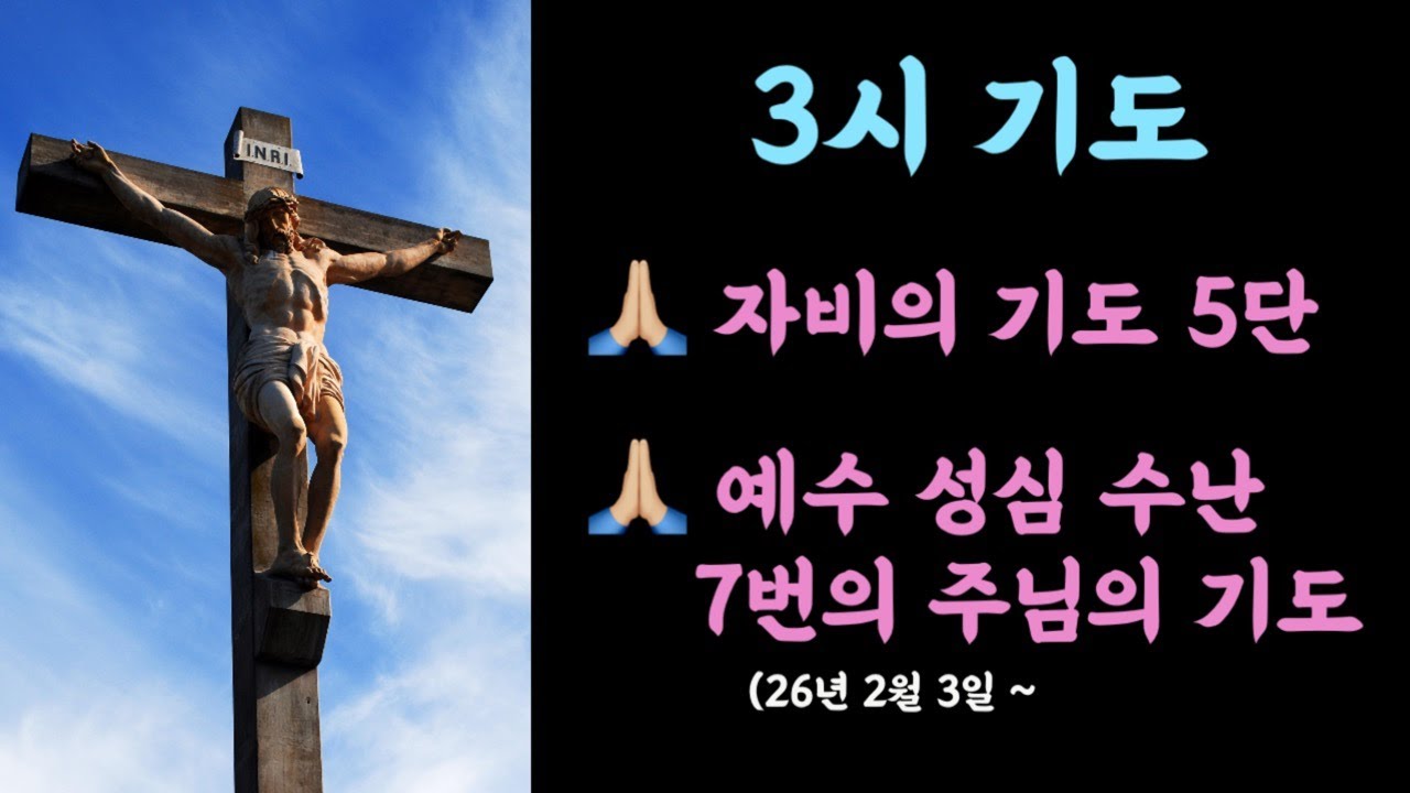 🌿3시 기도 하느님의 자비를 구하는 5단 기도/예수 성심 수난 12년 기도#세레나의치유의숲 #자비의기도 #자비의5단기도 #7번의주님의기도 #비르지타의기도 #예수수난묵상기도