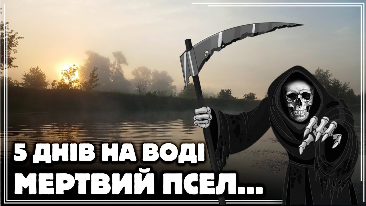 ✅️ МЕРТВИЙ ПСЕЛ ☠️😱 5 ДНІВ СУЦІЛЬНОЇ РИБОЛОВЛІ СПЛАВОМ! ТВІЧІНГ ВОБЛЕРІВ та ІНШІ МЕТОДИ пошуку ЩУКИ!