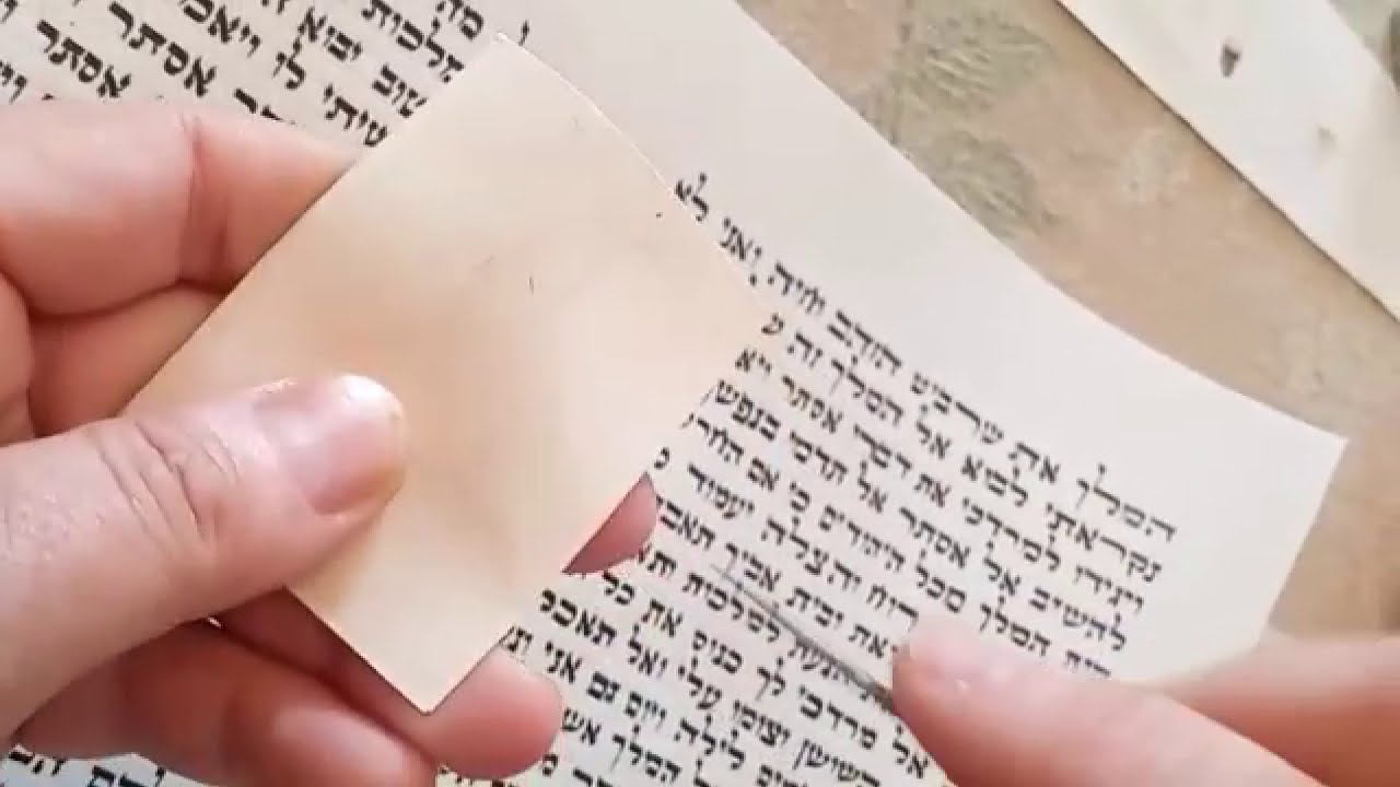 טלאי