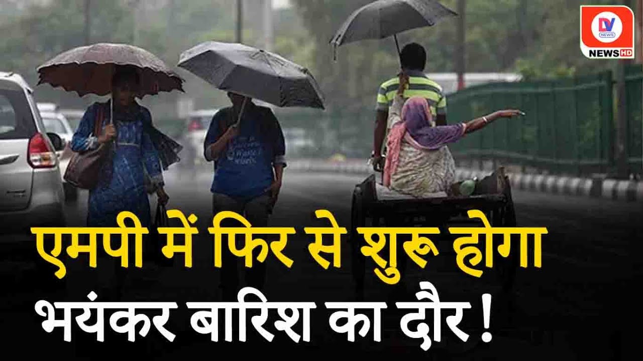 Rainfall Alert: MP में भयंकर बारिश की चेतावनी, मौसम विभाग ने 7 जिलों के लिए जारी किया अलर्ट!