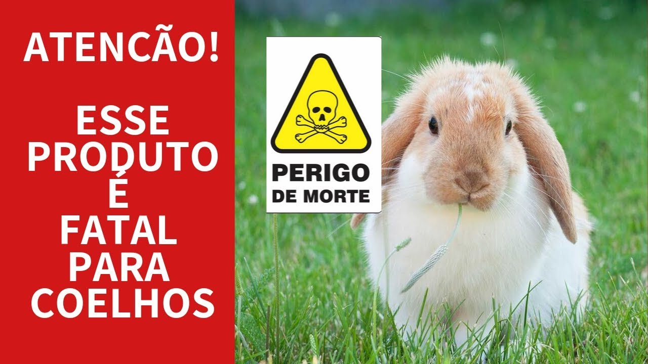 Atenção! Esse produto é fatal para coelhos