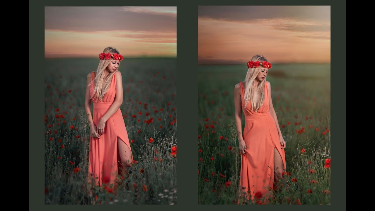 Poppy field  photoshoot behind the scenes Shot on sony A6300 Zhiyun Crane M