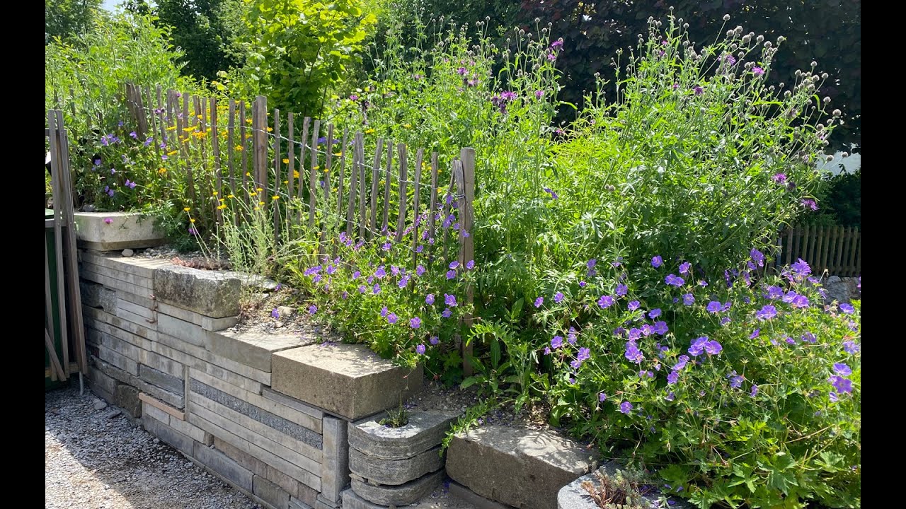 Biodiversität im Garten (Teil 2) – Weiterbildung für naturnahe Gartenideen
