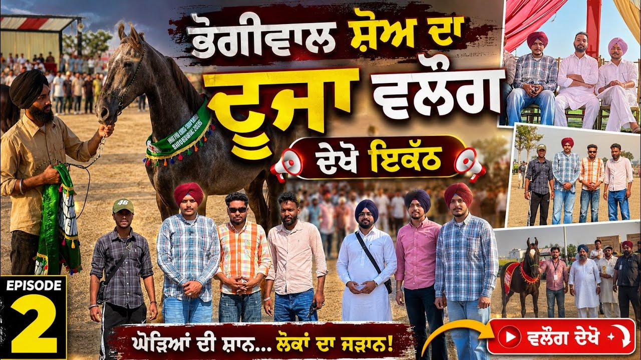 Biggest Horse Show Bhogiwal || Day 2 |ਖੇੜੀ ਵਾਲੇ ਬਾਬੇ ਦੀਆ ਗੱਲਾਂ ਨੇ ਨਜ਼ਰਾਂ ਬੰਨ ਦਿੱਤਾ ॥ 