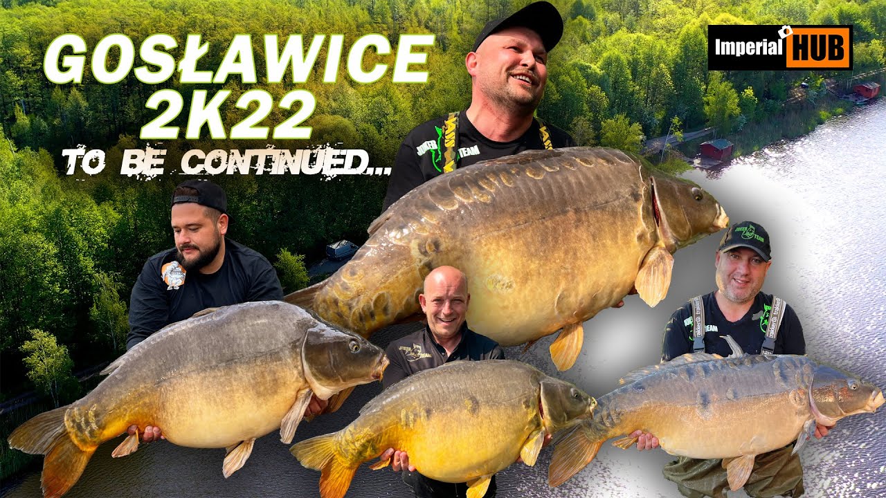 Gosławice 2022 - WIELKIE KARPIE!