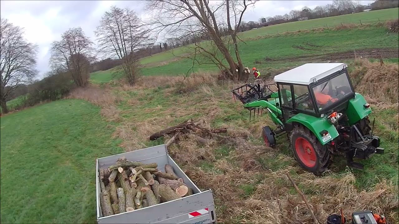 Deutz Stihl und Weiden die keiner wollte     Part 2