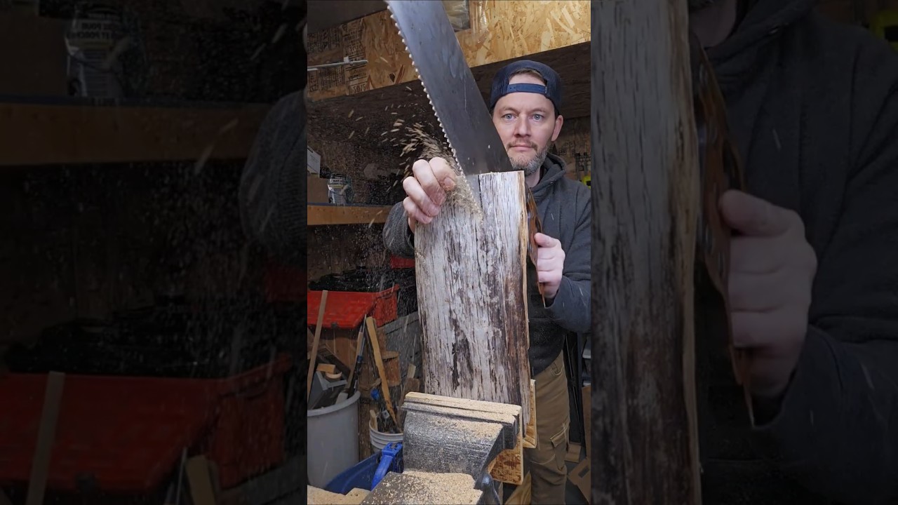 В поисках прохладной древесины на пляже