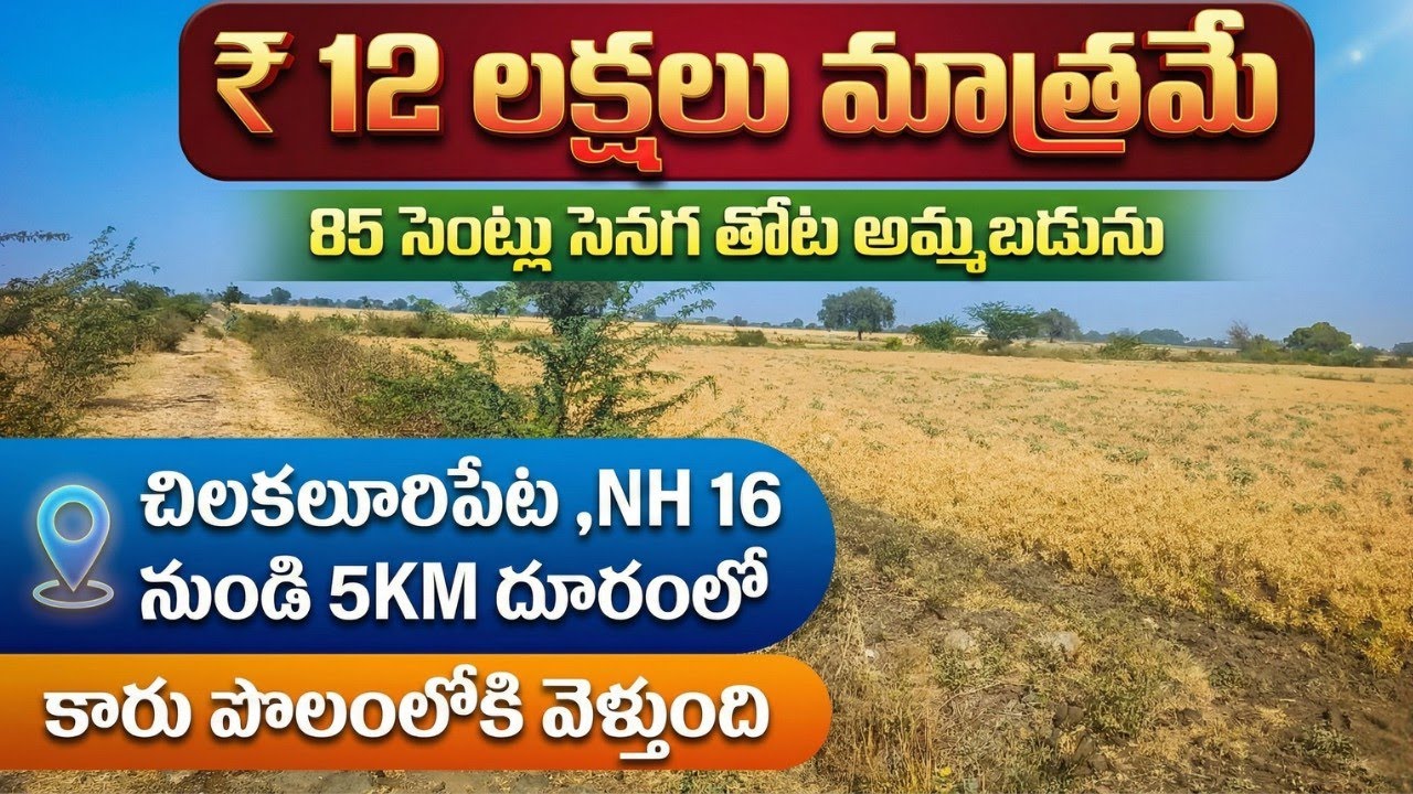 12 లక్షలు మాత్రమే | 85 సెంట్లు పొలం అమ్మబడును | agriculture land for sale 