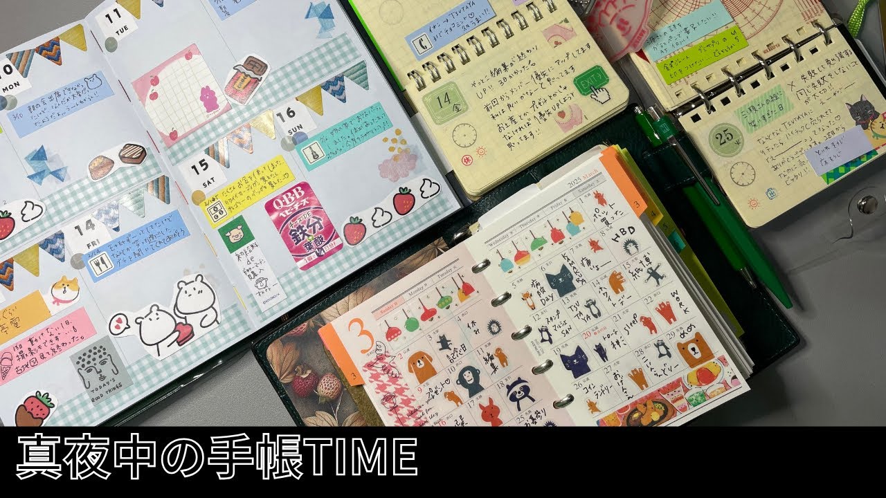 【真夜中の手帳Time】眠れない夜は手帳をパラパラしたりカワウソに癒されたり