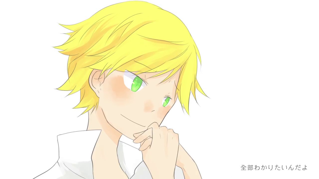 【Miraculous Ladybug】世界は恋に落ちている【完成版】