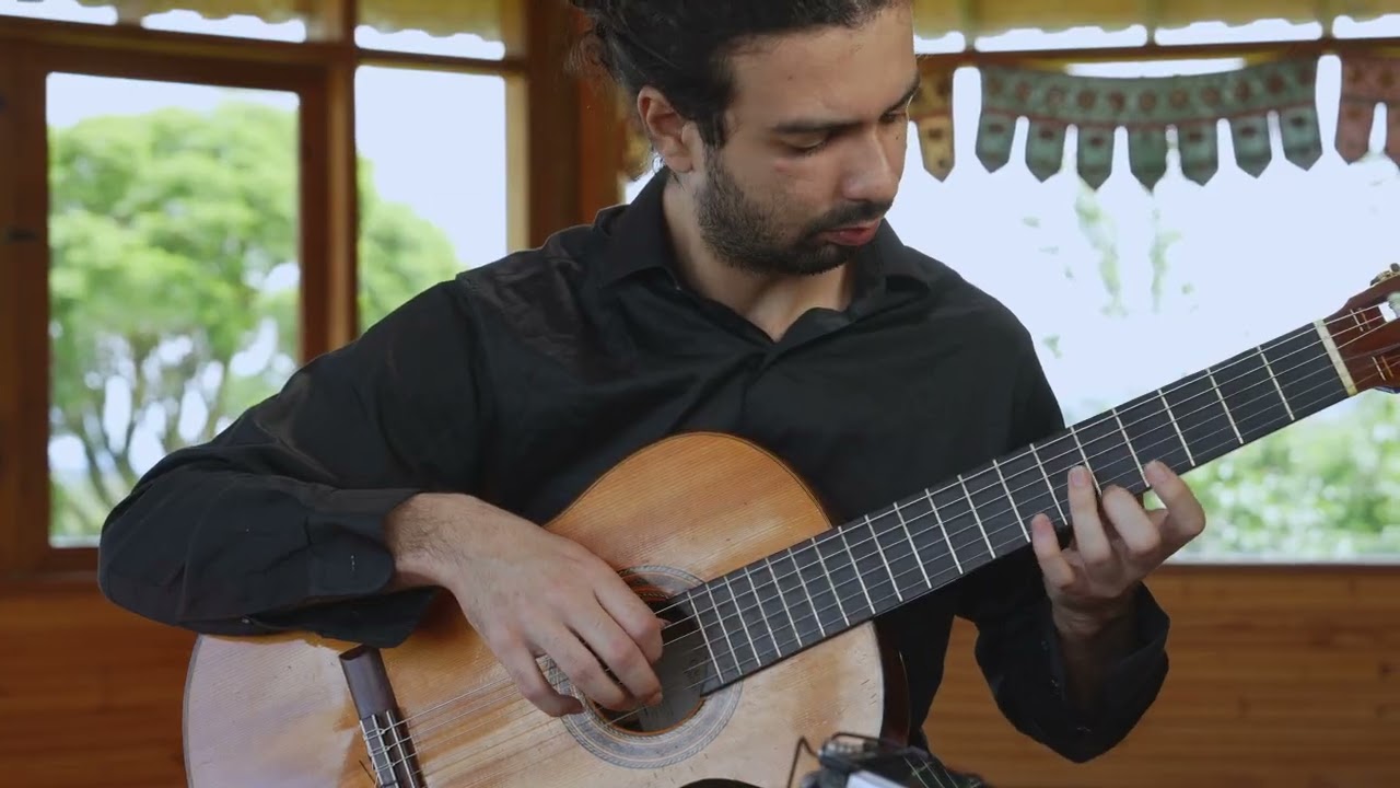 Estudo n8 - Heitor Villa-Lobos. Pedro Oers 