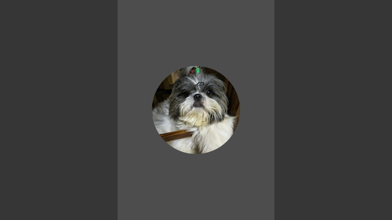 Orry Is Live Now 🐶🔥 | Aao Masti Karein