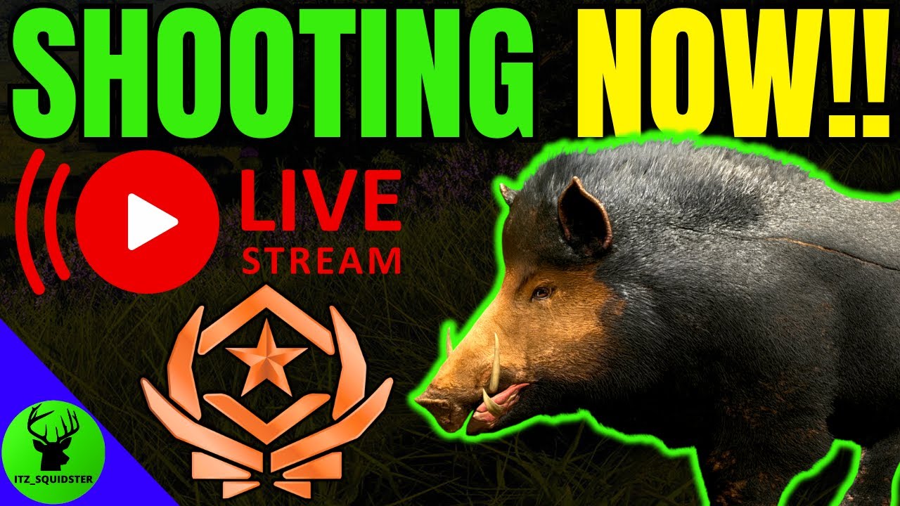 SHOOTING THE GREAT ONE WILD BOAR LIVE NOW!!! - Call of the Wild