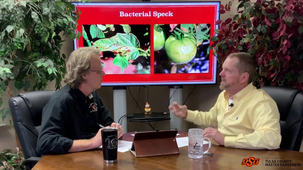 bacteria, virus, and nematodes in tomatoes