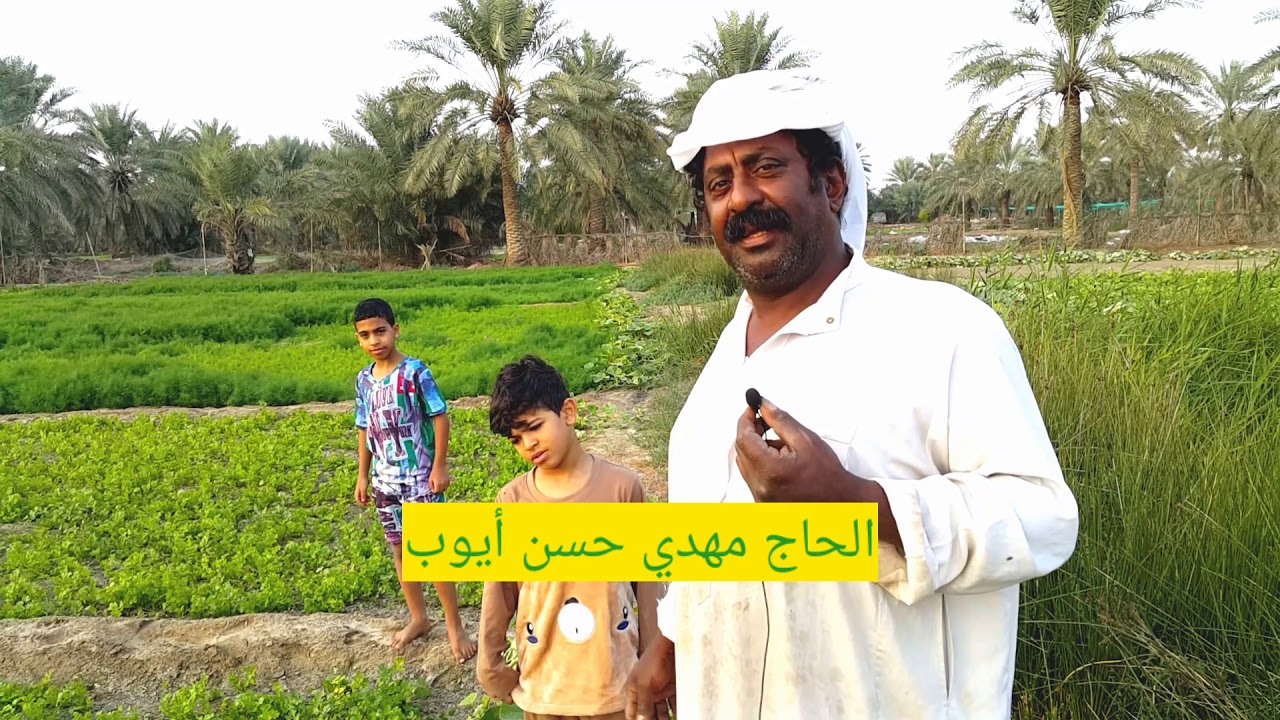 رجالات القديح| الحاج مهدي حسن ايوب