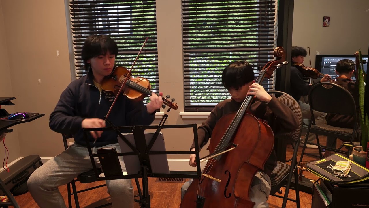 From The Start | Laufey (Violin & Cello cover)