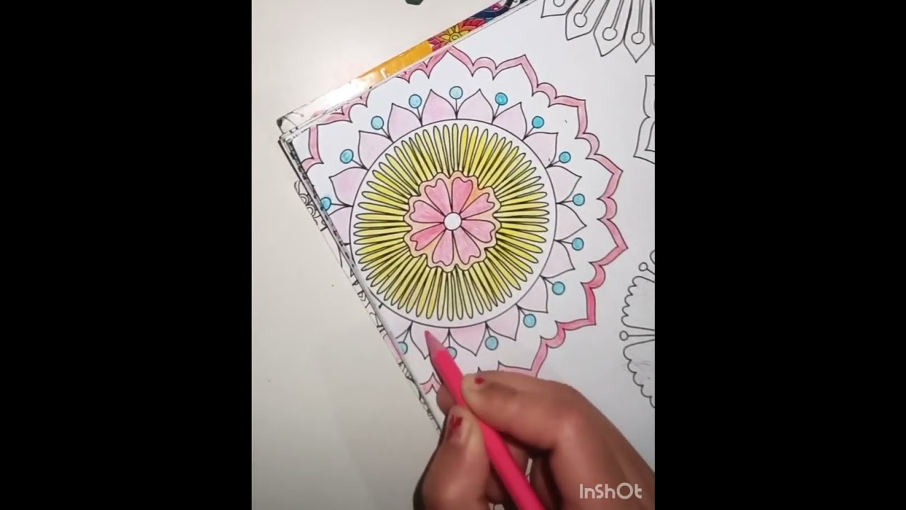 Colour full Flowers 