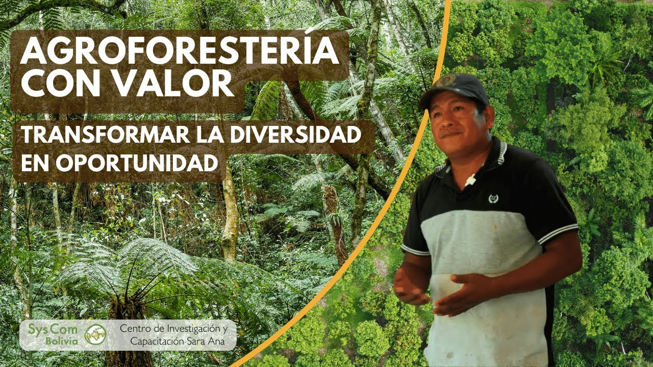 Agroforestería con valor: Transformar la diversidad en oportunidad